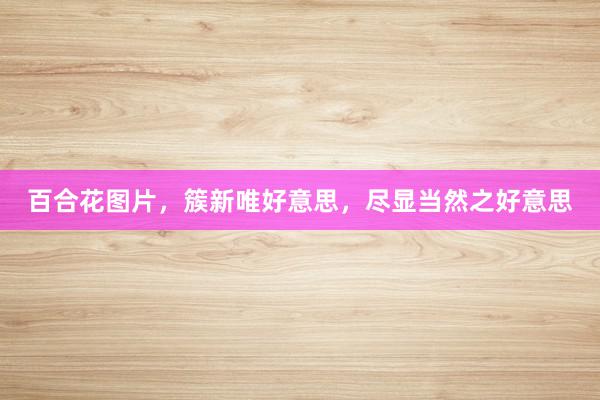 百合花图片，簇新唯好意思，尽显当然之好意思