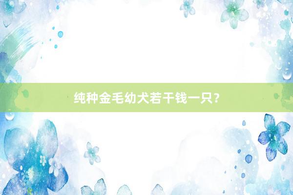 纯种金毛幼犬若干钱一只？